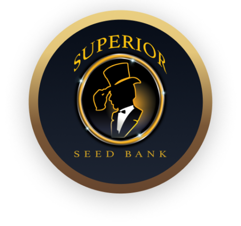 https://superiorseedbank.com/